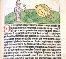 Pagina uit "Dyalogus creaturarum dat is twispraec der creaturen". Uitgegeven door Gerard Leeu in 1481